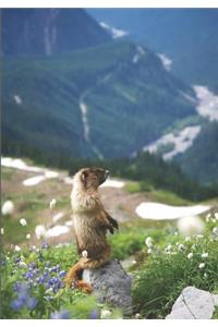 2019 Appointment Calendar