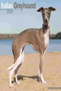 Italian Greyhound 2023 Wall Calendar