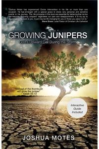 Growing Junipers