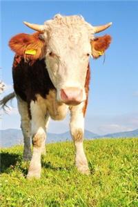 Cow on a Grassy Hillside Journal