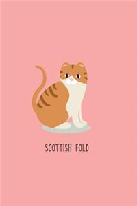 Scottish Fold