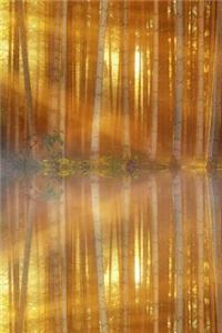 Trees Reflected on a Lake Journal