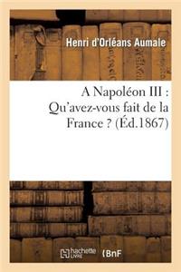 Napoléon III: Qu'avez-Vous Fait de la France ?