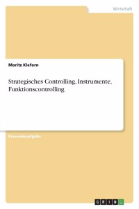 Strategisches Controlling, Instrumente, Funktionscontrolling