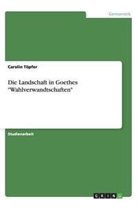 Die Landschaft in Goethes Wahlverwandtschaften