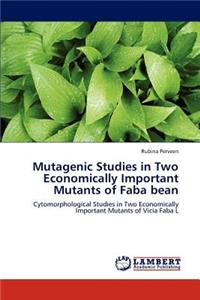 Mutagenic Studies in Two Economically Important Mutants of Faba Bean