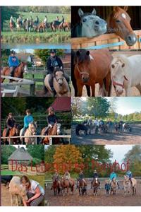 Das Leben ist ein Ponyhof