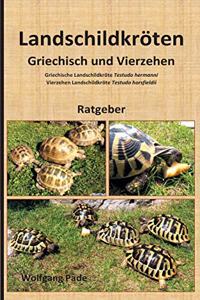 Landschildkröten Griechisch und Vierzehen