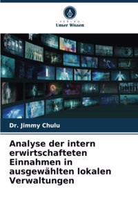 Analyse der intern erwirtschafteten Einnahmen in ausgewählten lokalen Verwaltungen