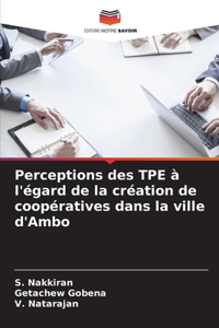 Perceptions des TPE à l'égard de la création de coopératives dans la ville d'Ambo