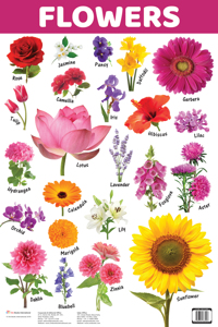 Charts: Flowers Charts (Educational Charts for kids)