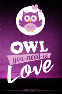 Owl you need is love - Carnet de Notes - Hibou mignon dans la nuit - cahier - livre chouette - Pour les notes (vacances - souvenir - études) vos dessins, recettes, listes de choses à faire, etc...
