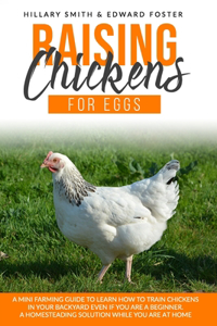 Raising Chickens for Eggs