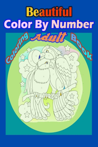 Color By Number Adult Coloring Book
