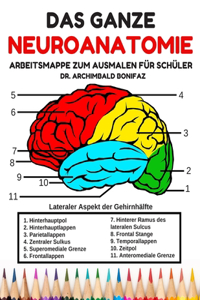 Das Ganze Neuroanatomie Arbeitsmappe zum Ausmalen für Schüler