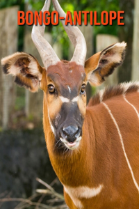 Bongo-Antilope