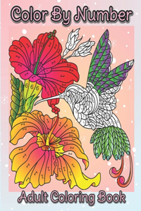 Color by Number Adult Coloring Book