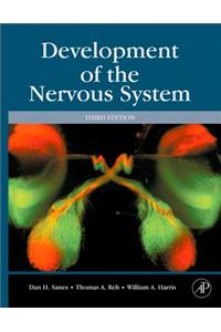 Development of the Nervous System