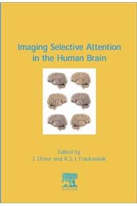 Imaging Selective Attention In The Human Brain