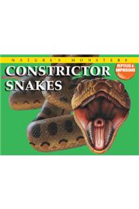 Constrictor Snakes