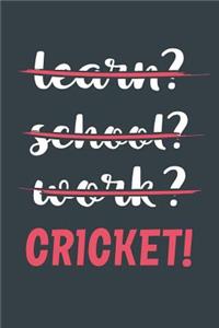 Learn? School? Work? Cricket!