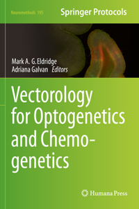 Vectorology for Optogenetics and Chemogenetics