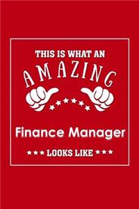 This is What an Amazing Finance Manager Look Like