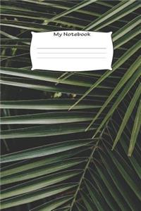 My Notebook