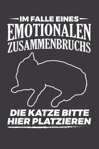 Im Falle eines emotionalen Zusammenbruchs Die Katze bitte hier platzieren