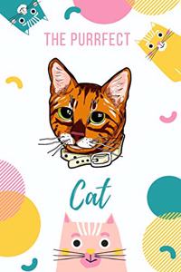 Purrfect Cat