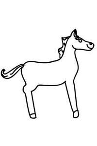 Horse Illustration School Composition Book Equine Pony Sketch