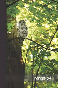 forest owl