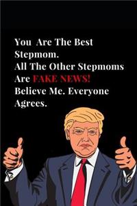 You Are the Best Stepmom. All Other Stepmoms Are Fake News! Believe Me. Everyone Agrees.