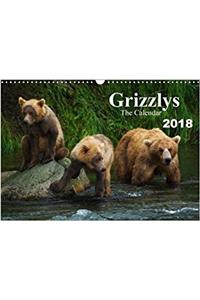 Grizzlys - the Calendar UK-Version 2018