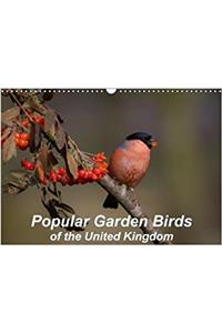 Popular Garden Birds of the United Kingdom 2018