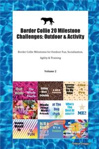 Border Collie 20 Milestone Challenges