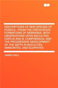 Descriptions of New Species of Fossils
