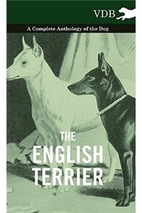 English Terrier - A Complete Anthology of the Dog