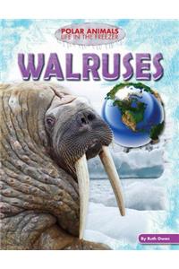 Walruses