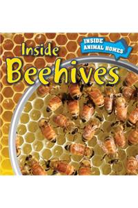 Inside Beehives