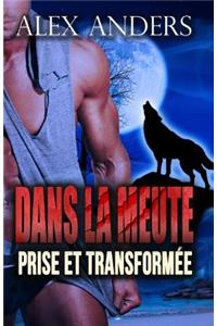 Prise Et Transformee