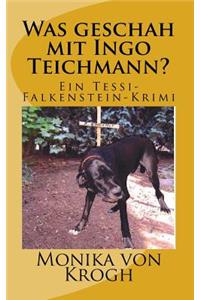 Was geschah mit Ingo Teichmann?