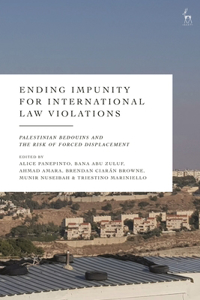 Ending Impunity for International Law Violations