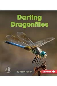 Darting Dragonflies