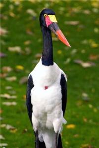 Awesome Saddle Stock Bird Portrait Journal