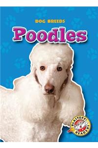 Poodles