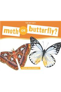Moth or Butterfly?