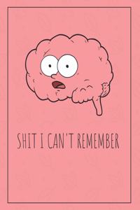 Shit I Can't Remember