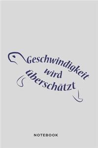Geschwindigkeit wird überschätzt Notebook