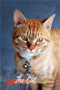 The Cat